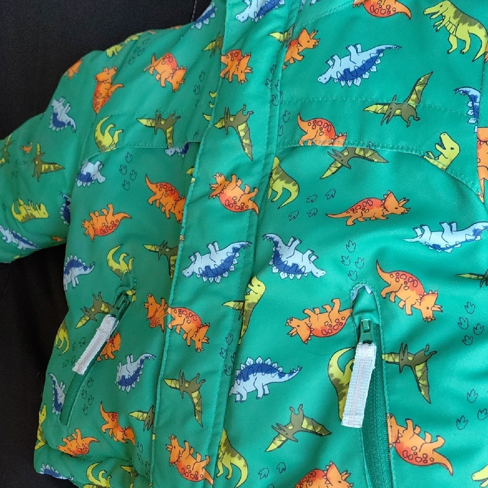Green Dinosaur Print Hooded Jacket - Picture 6 of 6